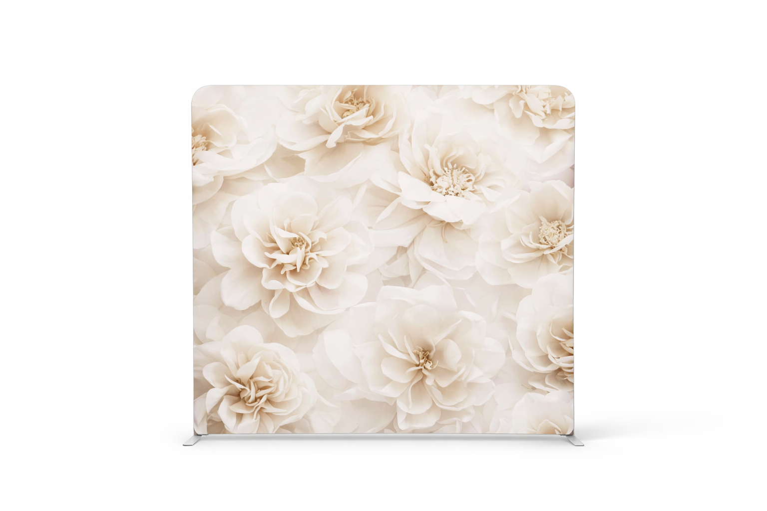 CREAM BLOSSOM backdrop